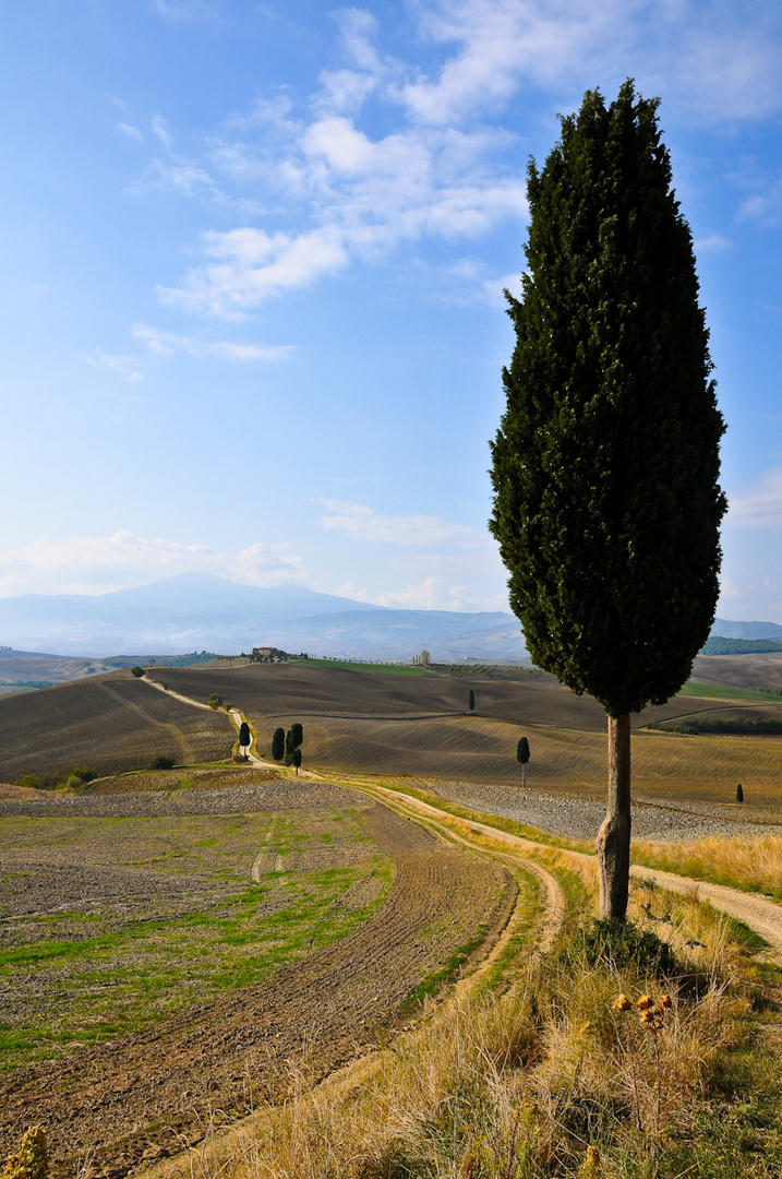 Landschaft südlich von Pienza