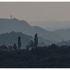 Landschaft Südsteiermark Morgenstimmung SW