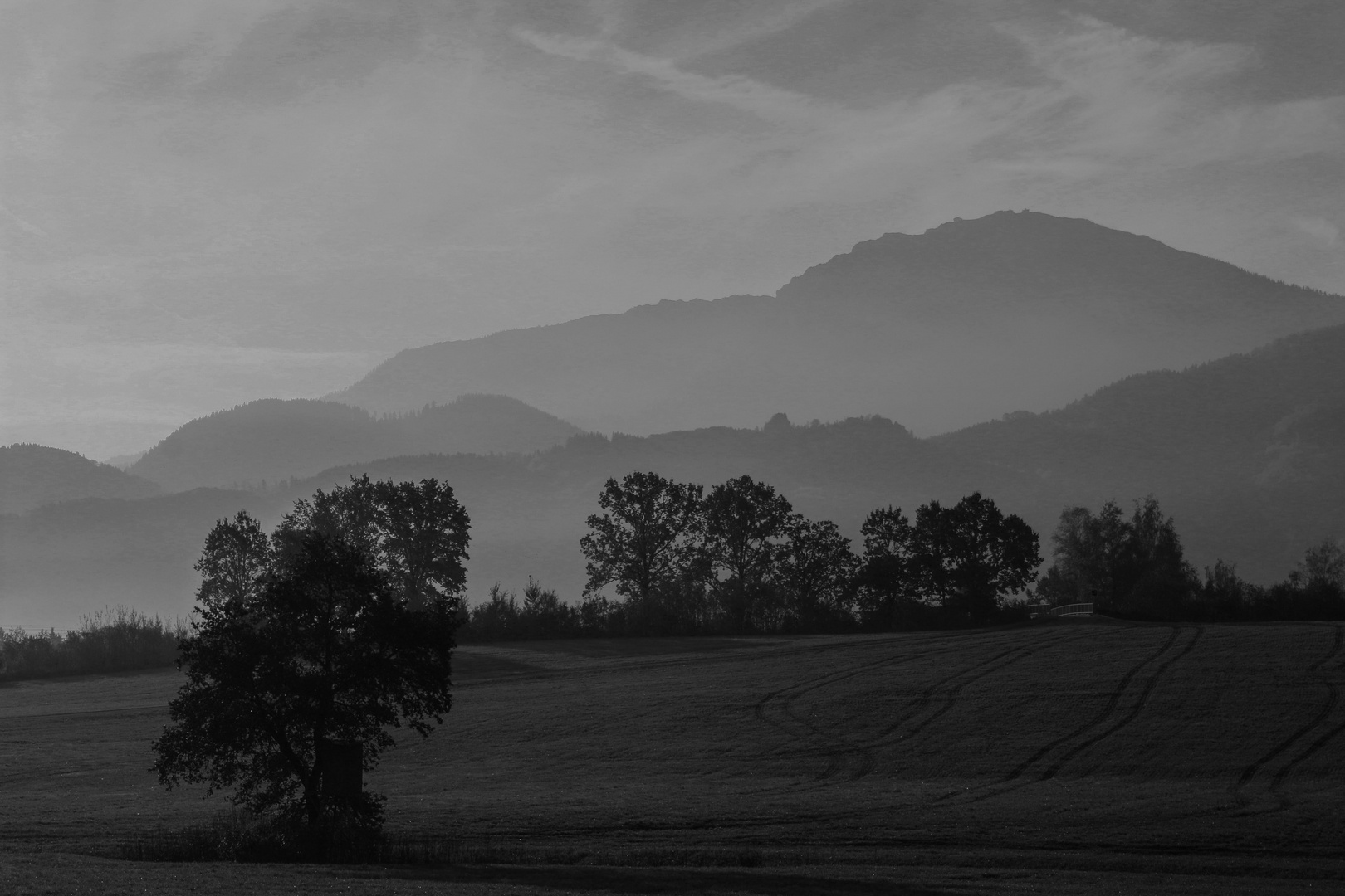 Landschaft s/w