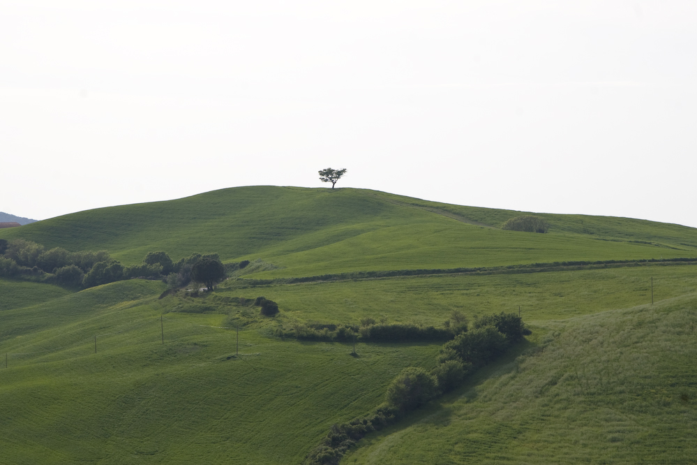 Landschaft Toskana I