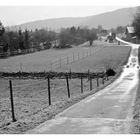 Landschaft - Tristesse-