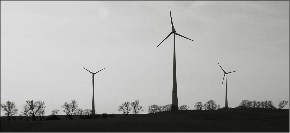 Landschaft – Uckermark