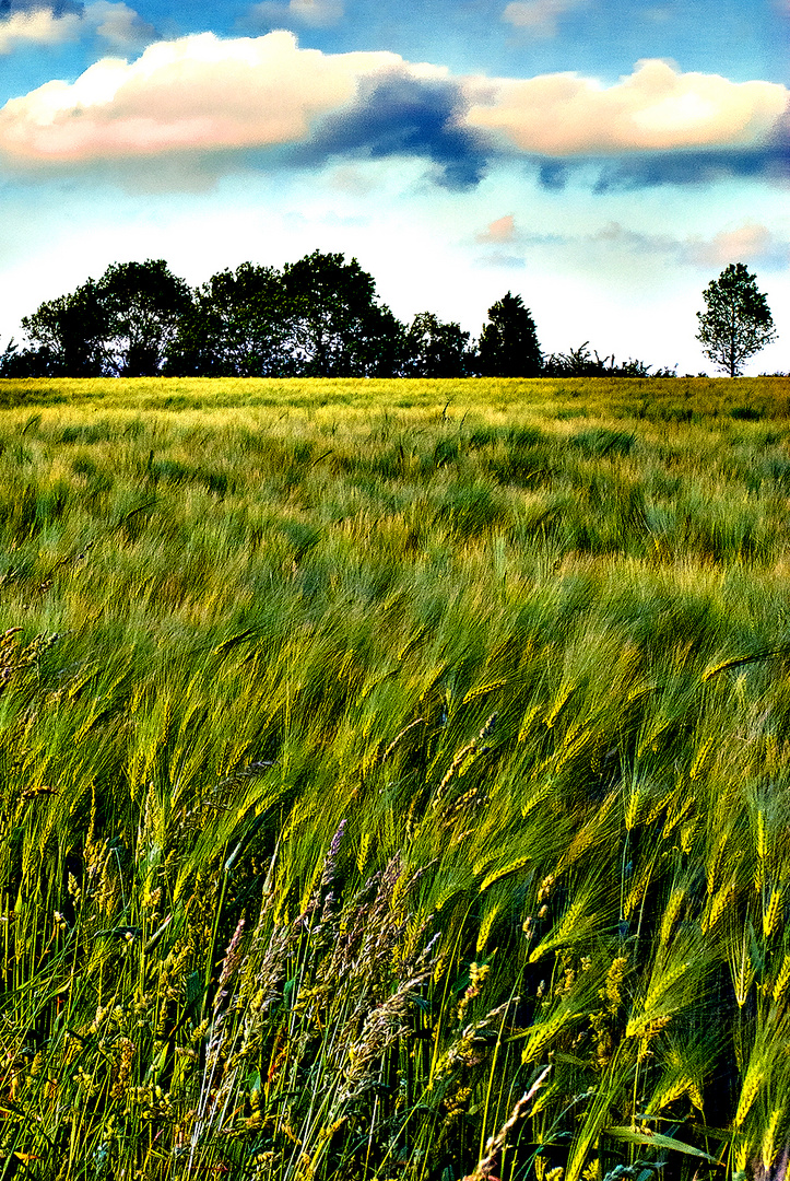 Landschaft (überstrahlt)