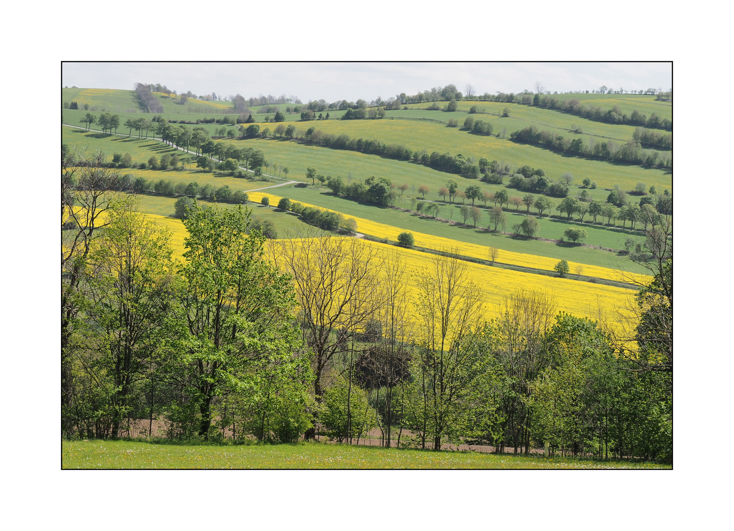 Landschaft um Annaberg-Buchholz_3