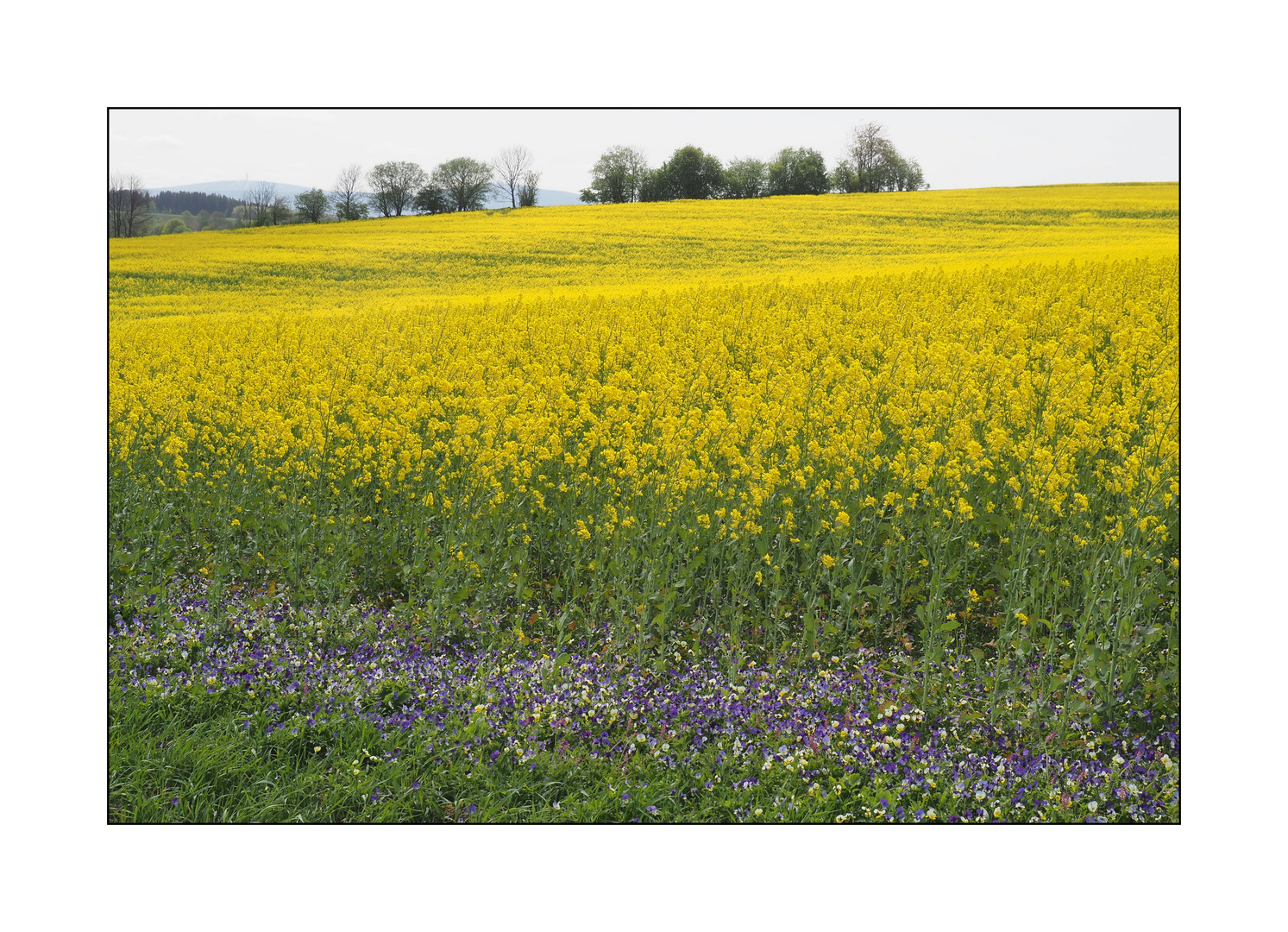 Landschaft um Annaberg-Buchholz_6