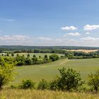 Landschaft um Brodowin