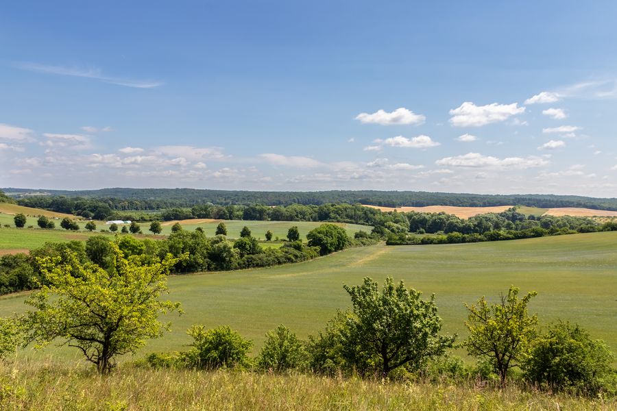 Landschaft um Brodowin