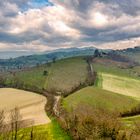 Landschaft um Fidenza