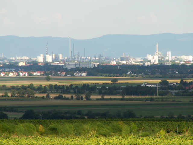 Landschaft um Frankenthal