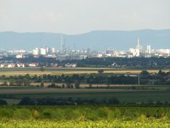 Landschaft um Frankenthal