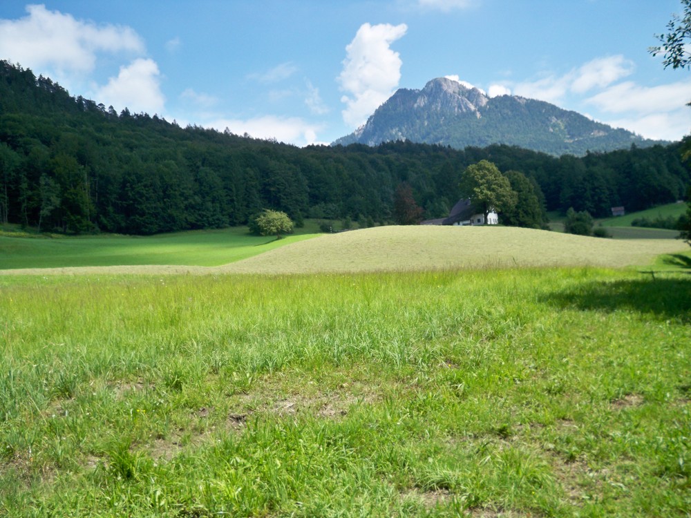 Landschaft um Fuschlsee im Salzkammergut