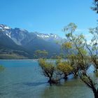 Landschaft um Glenorchy, Südinsel