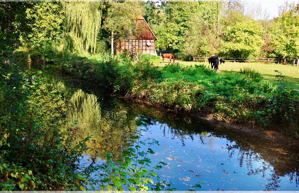 Landschaft um "Haus Langen"