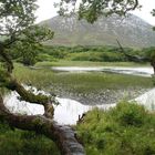 Landschaft um Kylemore Abbey - Irland Urlaub 2014