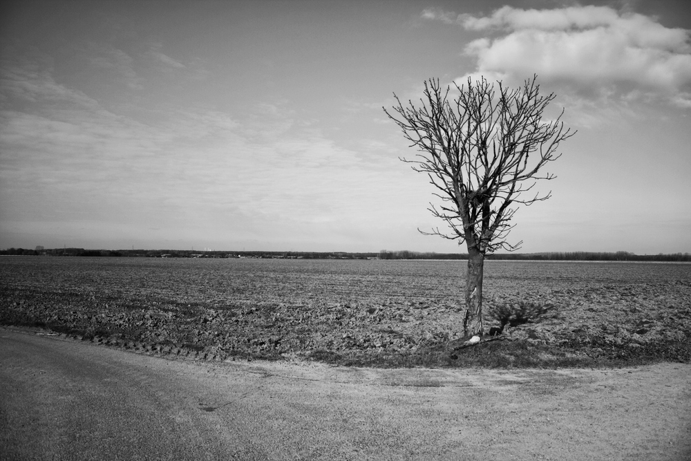 Landschaft um Waldfeucht