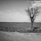 Landschaft um Waldfeucht