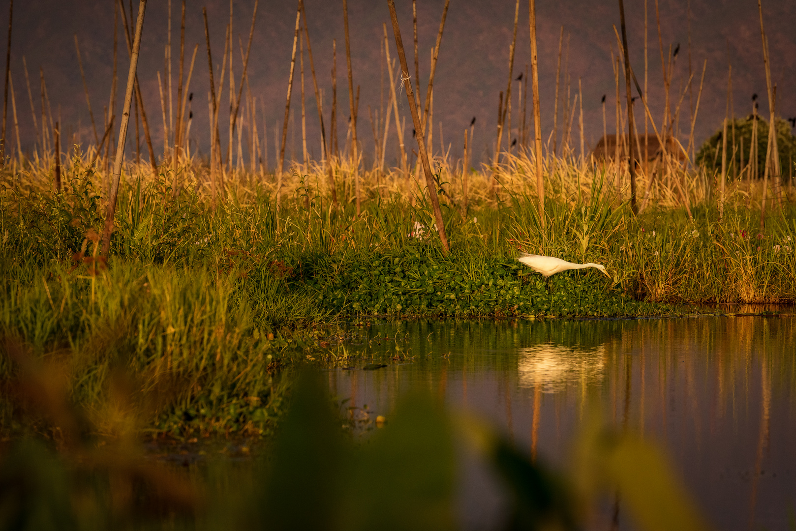 Landschaft und Häuser am Inle Lake II