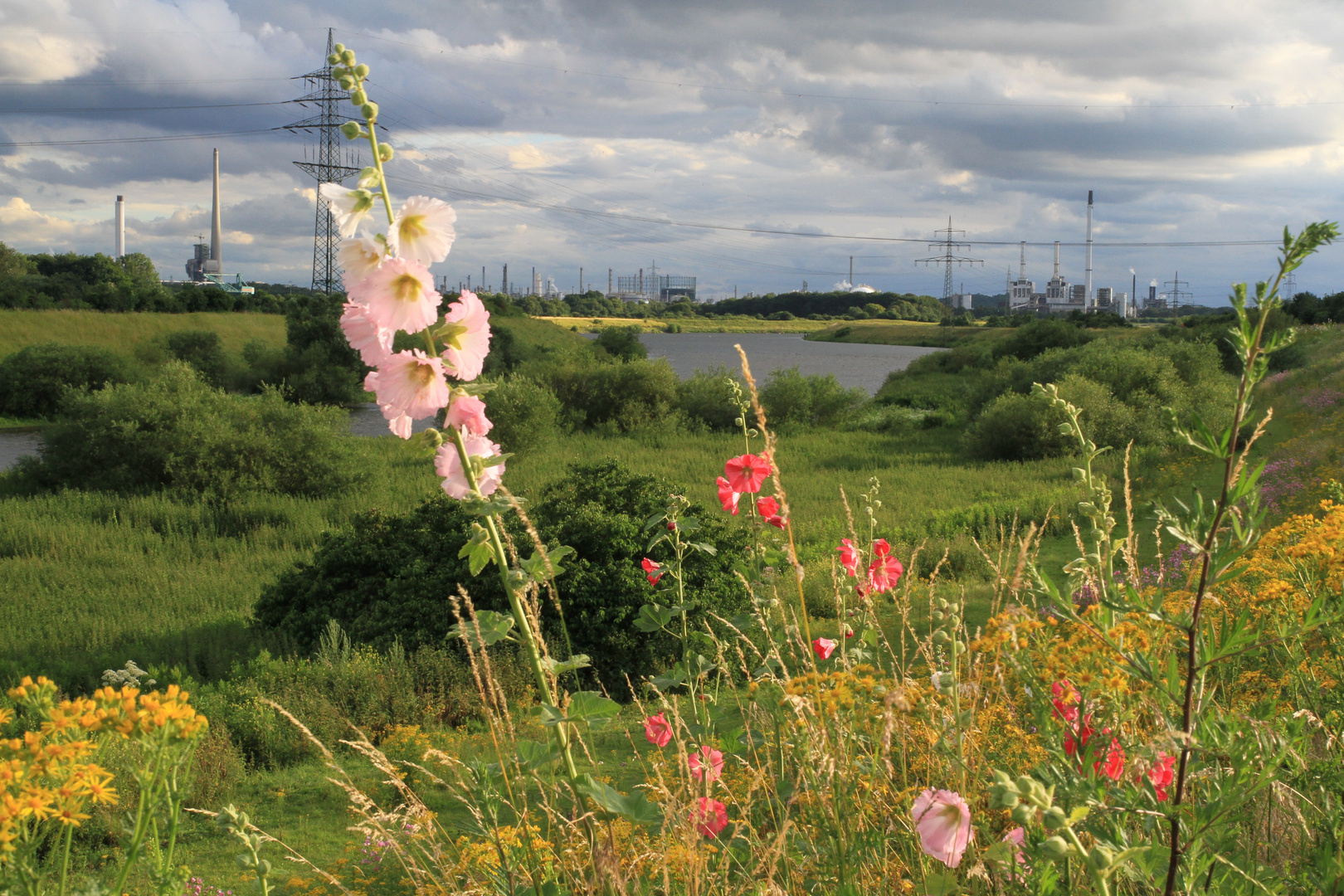 Landschaft und Industrie