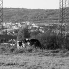 Landschaft und Industrie in Steinau