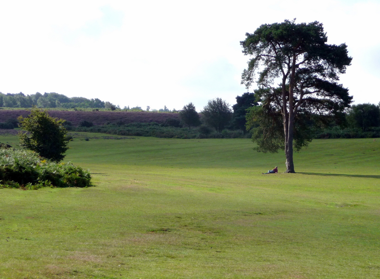 Landschaft und Mensch