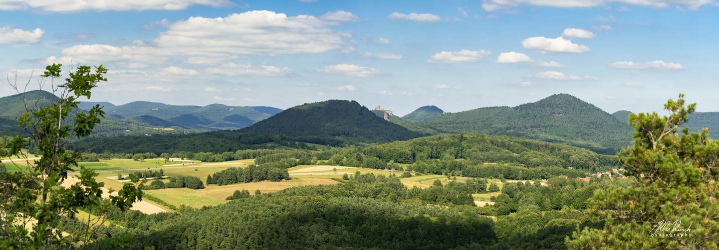 Landschaft und Trifels