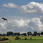 Landschaft und Wolken