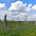 Landschaft und Wolken