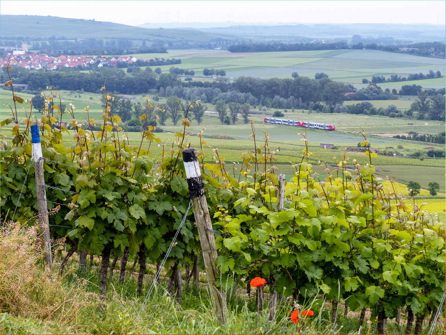 Landschaft und Zug