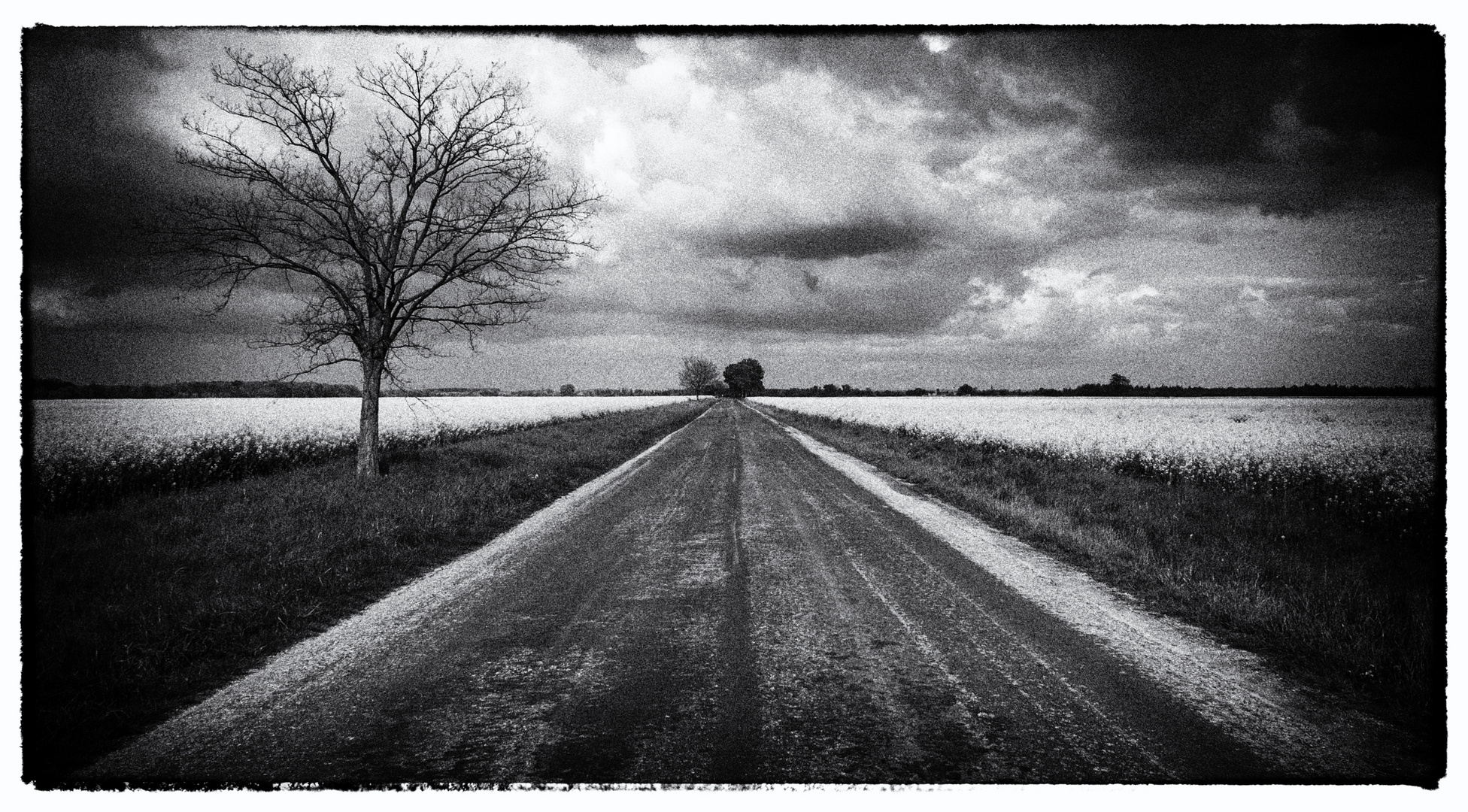 Landschaft Ungarn Schwarz/Weiss