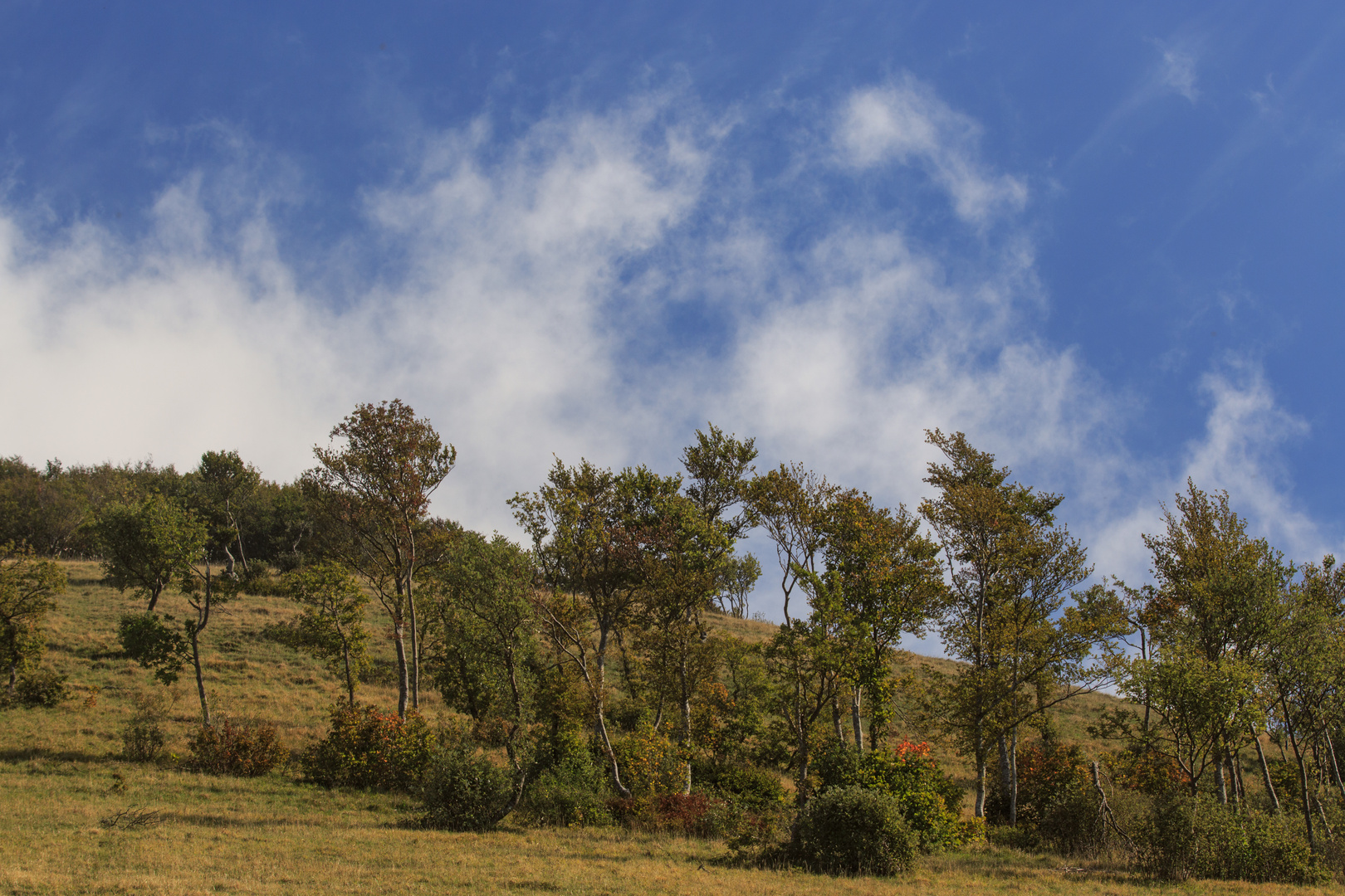 Landschaft unterhalb des Gipfels