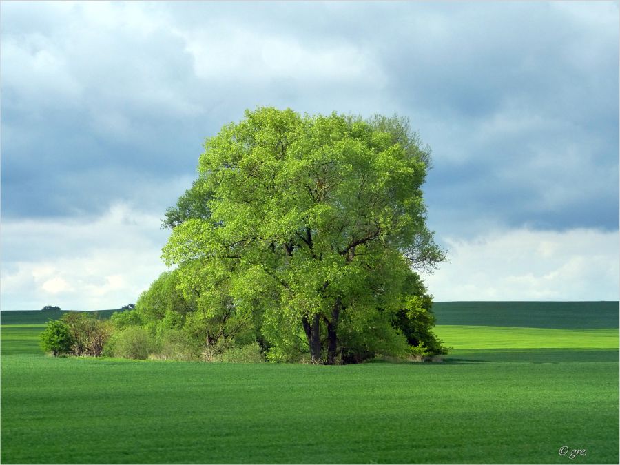 Landschaft unterwegs