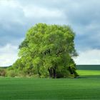 Landschaft unterwegs