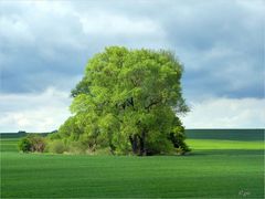 Landschaft unterwegs