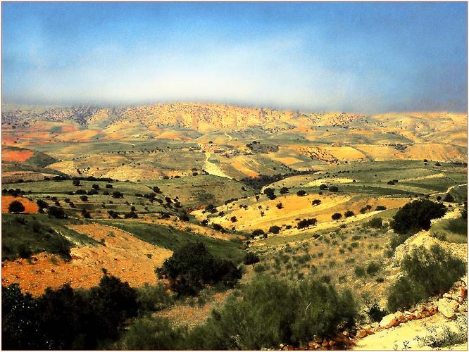 Landschaft unterwegs Richtung Essaouiera