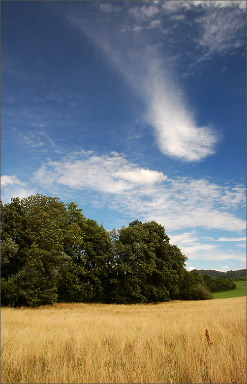 Landschaft vertikal