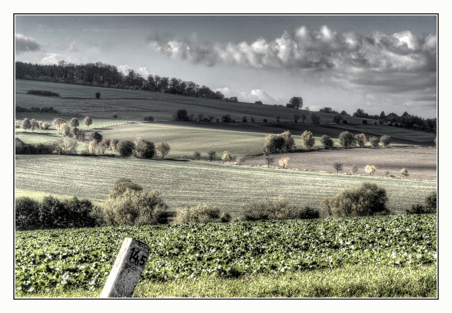 LANDSCHAFT VIERZEHNEINHALB