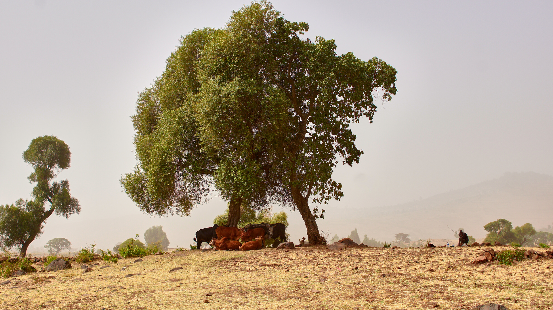 Landschaft von Ethiopia