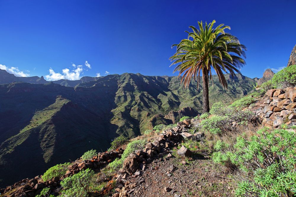 ~ LANDSCHAFT VON LA GOMERA IV ~