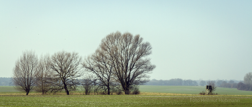 LANDSCHAFT VOR DER STADT