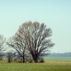 LANDSCHAFT VOR DER STADT