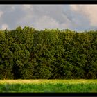 Landschaft vor meinem Fenster