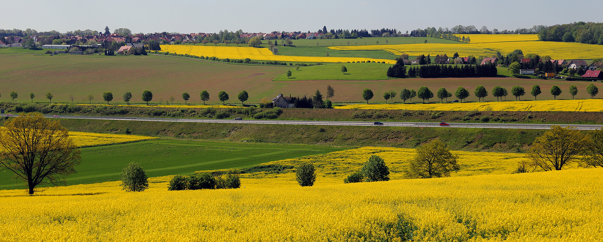 Landschaft vor meinem Garten