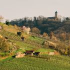 Landschaft vor Starkenburg Heppnheim 2020