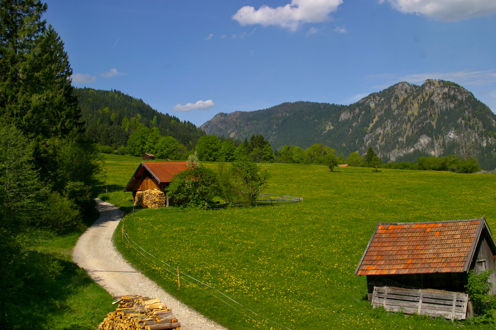 Landschaft Weg Allgäu