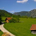 Landschaft Weg Allgäu