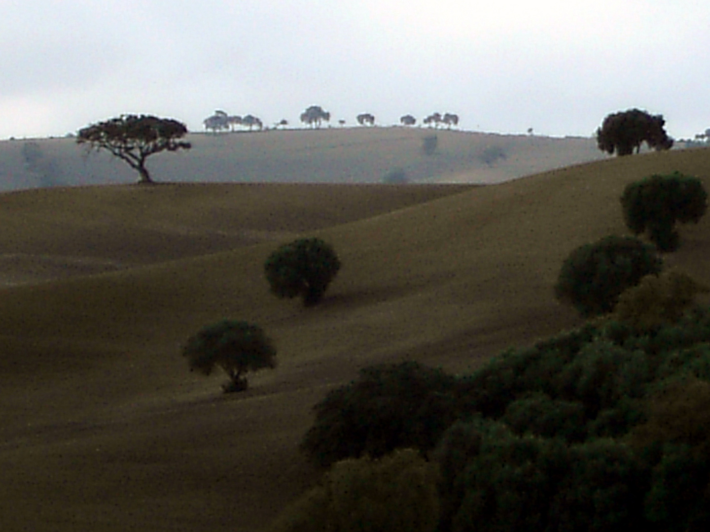 Landschaft wie gemalt