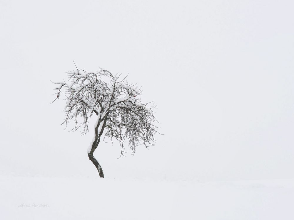 Landschaft Winter 2021 006