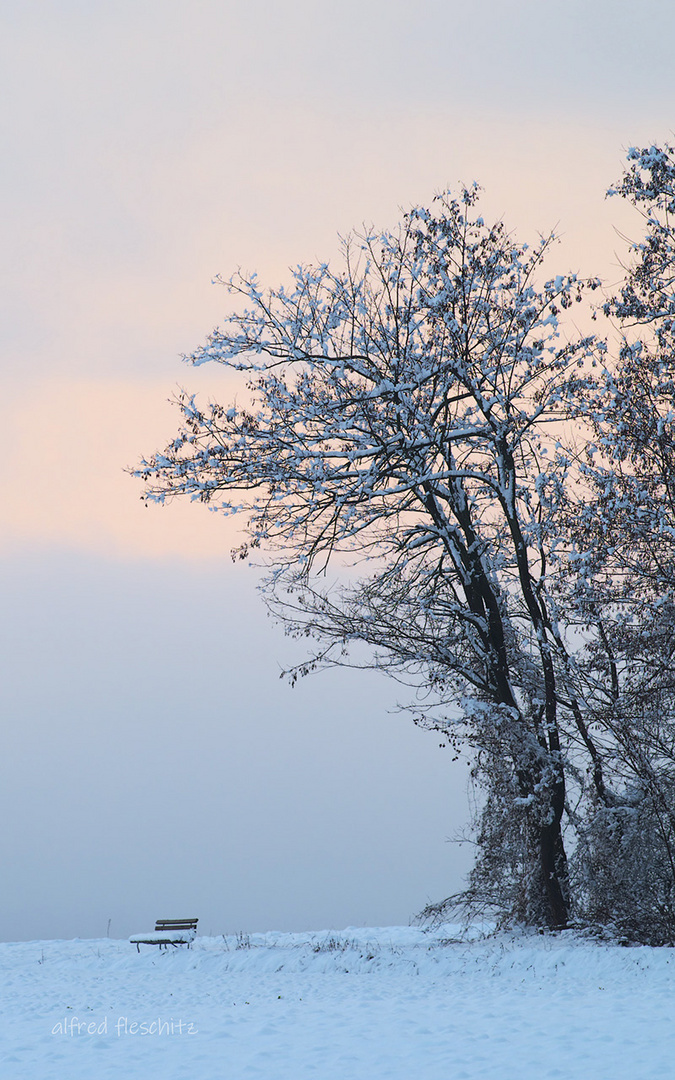 Landschaft Winter 2021 007