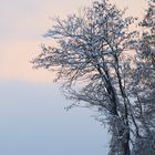 Landschaft Winter 2021 007