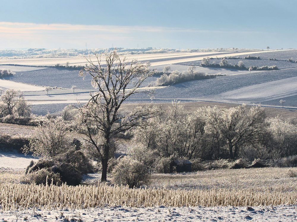 Landschaft Winter 2021 010